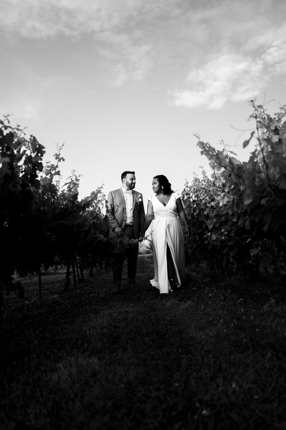 Couple de mariés élégants marchant entre les rangées de vignes, photo en noir et blanc.